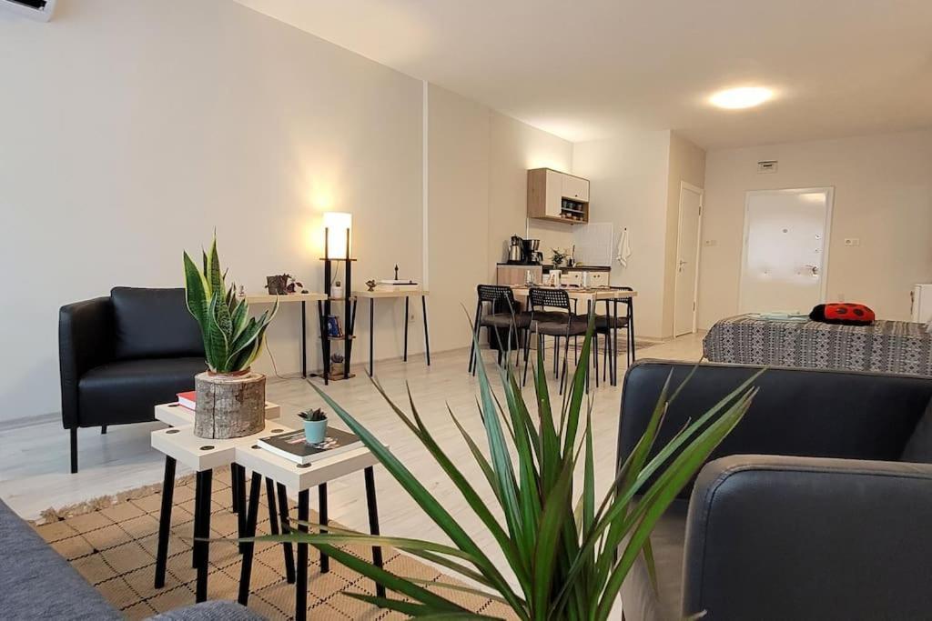 Апартаменты New Cosy Studio In The Heart Of Kadikoy Стамбул Экстерьер фото